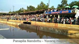 Miyyaru Kambala 2019 - Balluda Malla - Panapila Nandottu - Yuvaraj Hegde