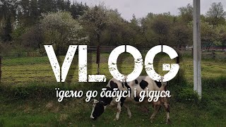 Vlog: їдемо до бабусі і дідуся|закинута хата|село