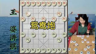 象棋博大精深 鸳鸯炮 决胜巅峰