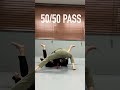 50 50 guard pass