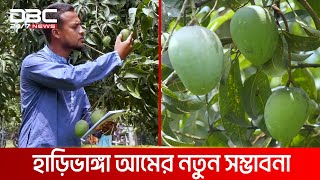 জিআই স্বীকৃতি পেল রংপুরের হাড়িভাঙ্গা আম | DBC NEWS Special