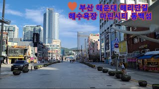 부산 해운대역에서 해리단길,해운대해수욕장,동백섬, 마린시티를 거쳐 동백역까지 도보여행