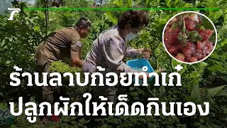 ร้านลาบก้อยทำเก๋ ปลูกผักให้เด็ดกินเอง | 29-07-65 | ห้องข่าวหัวเขียว