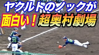 ちょっと、奥村選手ってこんなに面白んか！？ヤクルトのノックが活気あり！！森岡コーチもスタンドin！！