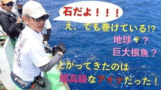 【スロージギングで奇跡⁉︎】根掛かり？石？いや、超高級な根魚ツチホゼリだぁ！ついでにカンパチも【小笠原諸島 母島】Slow pitch jigging