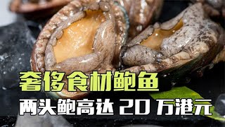 新西兰鲍鱼泛滥成灾，为何一颗还能卖到500元RMB？鲍鱼究竟有多好吃【西风探瘦马】