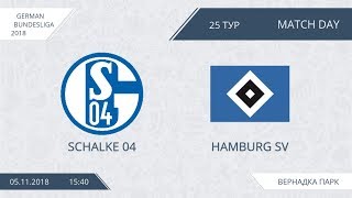 AFL18. Germany. Bundesliga. Day 25. Schalke 04 - Hamburg SV