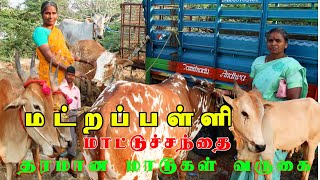 MATRAPALLI | மட்றப்பள்ளி மாட்டுச்சந்தை தரமான காளைகள் கன்றுகள் வருகை #ksvenkatvlogs #matrapalli