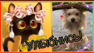 💙 УЛЫБНИСЬ ☀️ МУЗЫКАЛЬНЫЙ ВЕСЁЛЫЙ ПРИВЕТИК 🎶 ВИДЕО ДЛЯ НАСТРОЕНИЯ