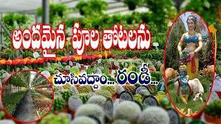 Kadiyapulanka Gardens Flowers decoration Waterfalls