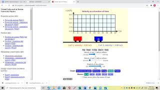 Momentum simulation
