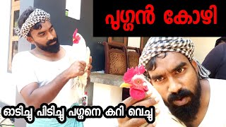 മലപ്പുറം കാക്ക കോഴിയെ ഓടിച്ചിട്ട് പിടിക്കുന്ന കാഴ്ച 🤣🤣🤣 malappuram kakka