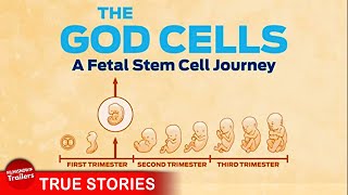 THE GOD CELLS- FULL DOCUMENTARY | From the director of BURZYNSKI: THE CANCER CURE COVER-UP