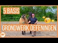 5 basis grondwerk oefeningen die ieder paard moet kennen!