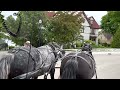 a horse drawn carriage ride on mackinac island