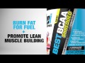 NEW BEST BCAA SHREDDED™ by BPI Sports