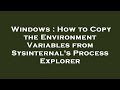 Windows : How to Copy the Environment Variables from Sysinternal's Process Explorer