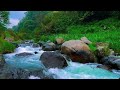 Calming River & Nature Sounds for Deep Sleep & Stress Relief | Ultimate Relaxation Water Ambience