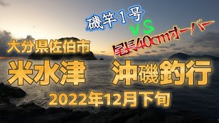 米水津沖磯釣行　磯竿1号vs尾長40cmオーバー