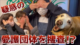 疑惑の動物愛護団体を捜査⁉︎＆寄付のご報告