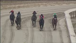 LAUREL PARK 1 31 2025 RACE 8