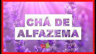 Os 10 Benefícios do Chá de Alfazema Para Saúde | Dicas de Saúde