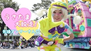 【TDL】うさたま大脱走【先頭ポジ】