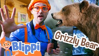 Blippi Visits a Bear at the Nature Center! Animal Videos for Kids