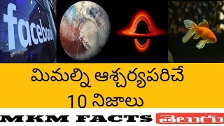 మిమల్ని ‌ఆశ్చర్యపరిచే 10 నిజాలు||MKM FACTS TELUGU