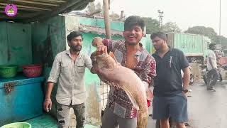 వైజాగ్ లో  ఫిష్ యార్డ్ చుస్తే మతి పోతది | Vizag Fish Yard  | Local Boy Nani | DarestarGopal