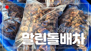 말린돌배차/ 돌배도라지즙/돌배효능이 알려지고 있어요~