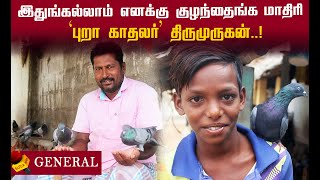 புறாக்கள்னா எனக்கு உசிரு.!`புறா காதலர்' திருமுருகன்!#dove