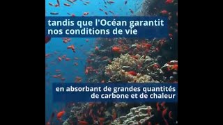 Pourquoi est-il urgent de protéger l'Océan ?