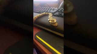 3D printed snake with cowboy hat #shorts