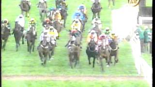 1997 - Cheltenham - Weatherbys Champion Bumper - Florida Pearl