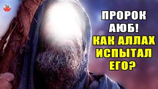 ВЫ НЕ ПРЕДСТАВЛЯЕТЕ КАК АЛЛАХ ИСПЫТАЛ ПРОРОКА АЮБА! И ЧТО ПРОРОК ПОПРОСИЛ У АЛЛАХА В ОТЧАЯНИИ!