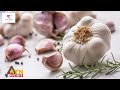 ক্যানসার প্রতিরোধ করে রসুনের তেল health benefits of garlic garlic new research atn news