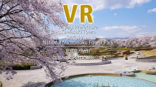 VR　SAKURA at National Michinoku Forest Park / Miyagi Prefecture Kawasaki Town / 宮城県川崎町　国営みちのく杜の湖畔公園