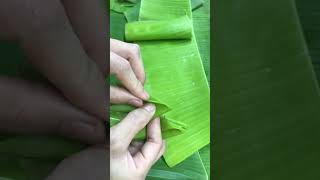 พับกลีบการเวก#ใบตองอ่อน#Banan Leaf