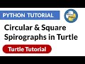 Circular & Square Spirographs in Turtle | Turtle Python Tutorial | PyPower
