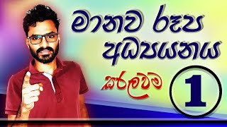 මානව රූප අධ්‍යයනය පළමු කොටස(01)