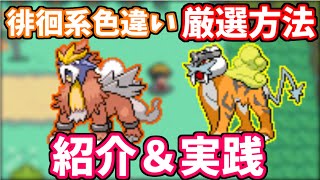 【HGSS】超難関の徘徊系の色違い伝説ポケモンの厳選方法を紹介＆実践！！「ポケモン　HGSS　ハートゴールド　ソウルシルバー」