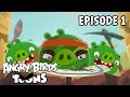 Angry Birds Toons | Treasure Hunt - S2 Ep1