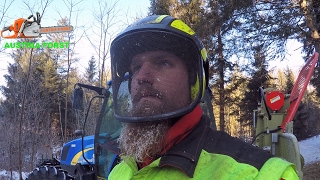 Felling of a Spruce  with Cable winch support at one High voltage cable Holzknecht Hs 410