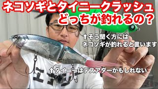 ネコソギDSRとタイニークラッシュどっちが釣れるの？デッドスローVSヨタ巻き編【冬の琵琶湖バス釣り】