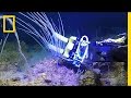 Squishy Robot Fingers: A Breakthrough for Underwater Science | National Geographic