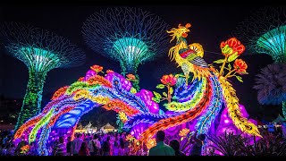 中秋赏灯《滨海湾花园》 Mid autumn lantern festival at garden by the bay Singapore