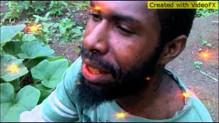 Meri Morobe ( cover clip ) PNG Music