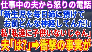 【スカッとする話】仕事中の夫から怒りの電話。夫「新生児を毎日姉に預けてどういう神経してるんだ！」私「え？私たち子供いないじゃない」夫「は？」→衝撃の事実が明らかに…【修羅場】