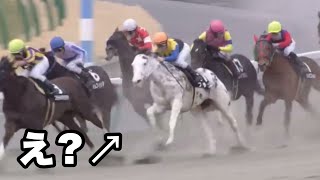 馬!???がぶっち切りの走りを見せる【ブチコ】